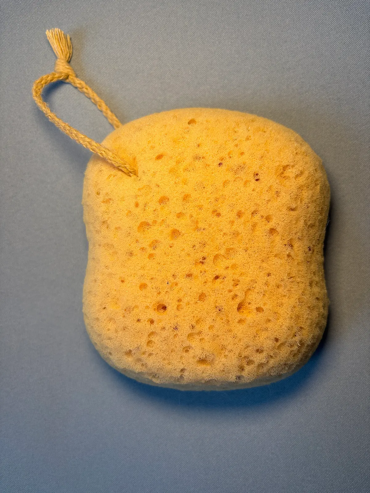 Naturschwamm