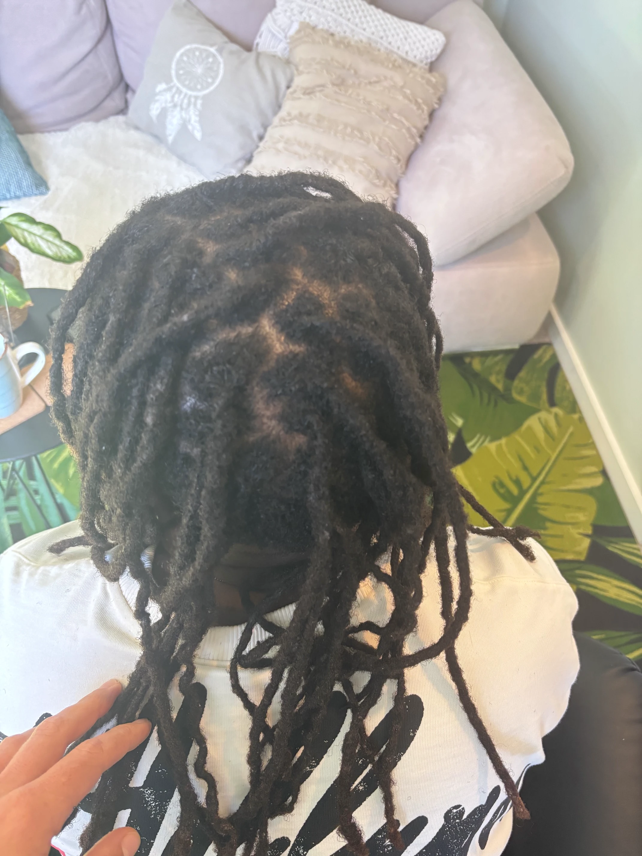 Dreadpflege 2